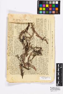 SW_BNB_s3010-17162_IMG-0000000001