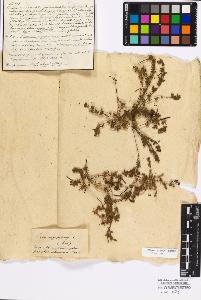 SW_BNB_s3010-17163_IMG-0000000001