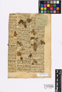 SW_BNB_s3010-17164_IMG-0000000001