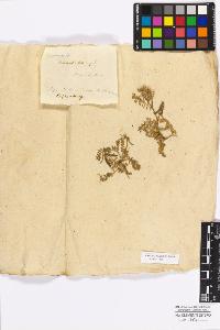 SW_BNB_s3010-17165_IMG-0000000001