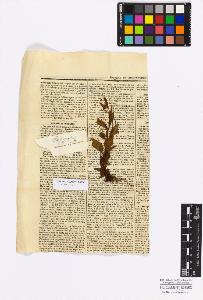 SW_BNB_s3010-17166_IMG-0000000001