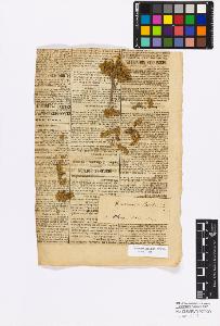 SW_BNB_s3010-17168_IMG-0000000001