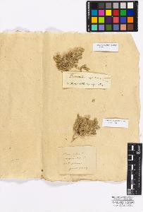 SW_BNB_s3010-17169_IMG-0000000001