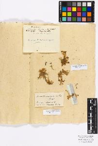 SW_BNB_s3010-17171_IMG-0000000001