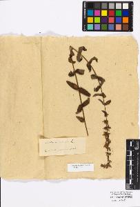 SW_BNB_s3010-17173_IMG-0000000001