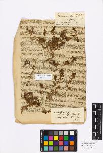 SW_BNB_s3010-17174_IMG-0000000001