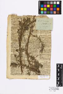 SW_BNB_s3010-17175_IMG-0000000001