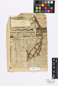 SW_BNB_s3010-17176_IMG-0000000001