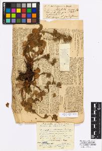 SW_BNB_s3010-17177_IMG-0000000001