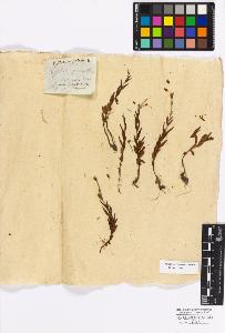 SW_BNB_s3010-17178_IMG-0000000001