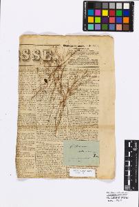 SW_BNB_s3010-17179_IMG-0000000001