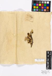 SW_BNB_s3010-17180_IMG-0000000001