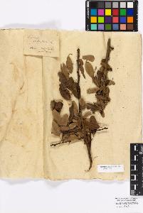 SW_BNB_s3010-17181_IMG-0000000001