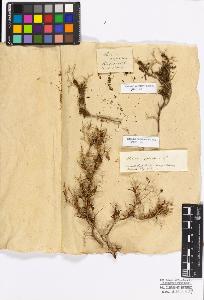 SW_BNB_s3010-17182_IMG-0000000001