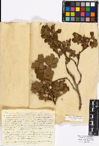 SW_BNB_s3010-17184_IMG-0000000001