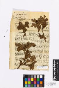 SW_BNB_s3010-17185_IMG-0000000001