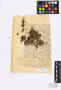 SW_BNB_s3010-17186_IMG-0000000001