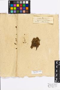 SW_BNB_s3010-17187_IMG-0000000001