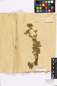 SW_BNB_s3010-17188_IMG-0000000001