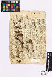 SW_BNB_s3010-17189_IMG-0000000001