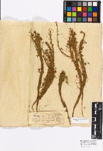 SW_BNB_s3010-17190_IMG-0000000001