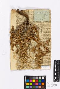 SW_BNB_s3010-17191_IMG-0000000001