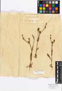 SW_BNB_s3010-17192_IMG-0000000001