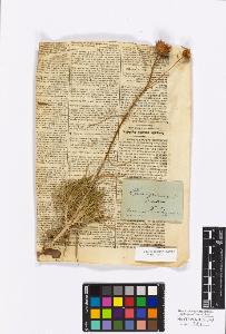 SW_BNB_s3010-17193_IMG-0000000001