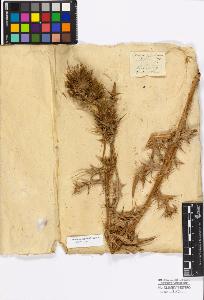 SW_BNB_s3010-17194_IMG-0000000001