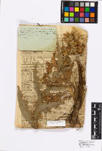 SW_BNB_s3010-17198_IMG-0000000001