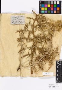 SW_BNB_s3010-17200_IMG-0000000001