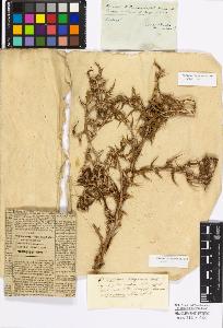 SW_BNB_s3010-17201_IMG-0000000001