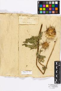 SW_BNB_s3010-17202_IMG-0000000001