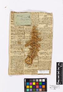 SW_BNB_s3010-17203_IMG-0000000001