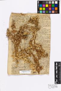 SW_BNB_s3010-17205_IMG-0000000001