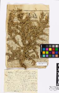 SW_BNB_s3010-17207_IMG-0000000001