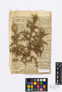 SW_BNB_s3010-17208_IMG-0000000001