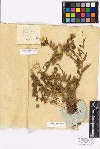 SW_BNB_s3010-17210_IMG-0000000001