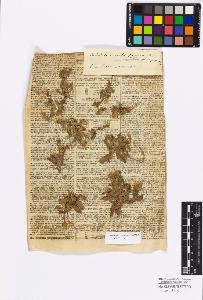 SW_BNB_s3010-17211_IMG-0000000001