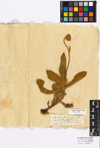 SW_BNB_s3010-17212_IMG-0000000001