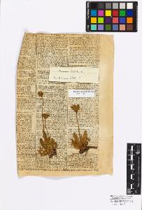 SW_BNB_s3010-17213_IMG-0000000001