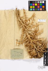 SW_BNB_s3010-17216_IMG-0000000001