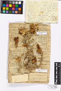 SW_BNB_s3010-17218_IMG-0000000001