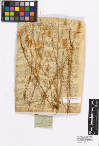 SW_BNB_s3010-17220_IMG-0000000001