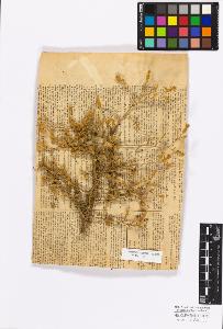 SW_BNB_s3010-17221_IMG-0000000001