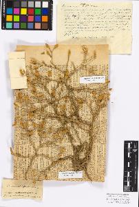 SW_BNB_s3010-17223_IMG-0000000001