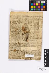 SW_BNB_s3010-17224_IMG-0000000001