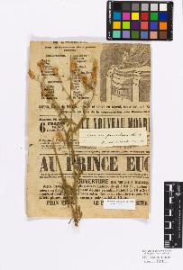 SW_BNB_s3010-17225_IMG-0000000001