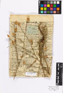 SW_BNB_s3010-17226_IMG-0000000001