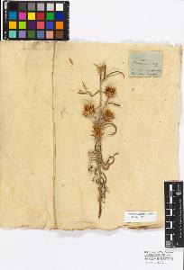 SW_BNB_s3010-17227_IMG-0000000001